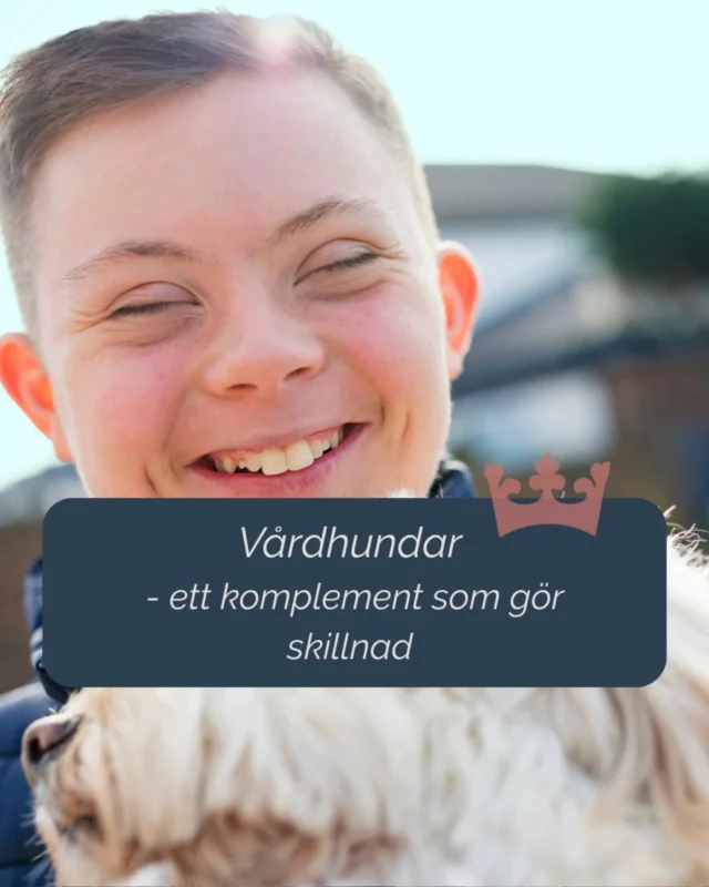 Våra hundteam från Svea arbetar inom både klinisk psykiatri och socialpsykiatri – som ett komplement till vårdpersonalen i det dagliga arbetet.

Och effekterna är tydliga:
• Ökad livskvalitet och välbefinnande
• Minskad social isolering
• Färre vårdbesök och i vissa fall minskat behov av läkemedel

Ett stöd i terapi, rehabilitering och andra behandlande insatser – där relationen ofta är nyckeln.

#SveaHundtjänst #vårdhund #psykiatri #socialpsykiatri #psykiskhälsa