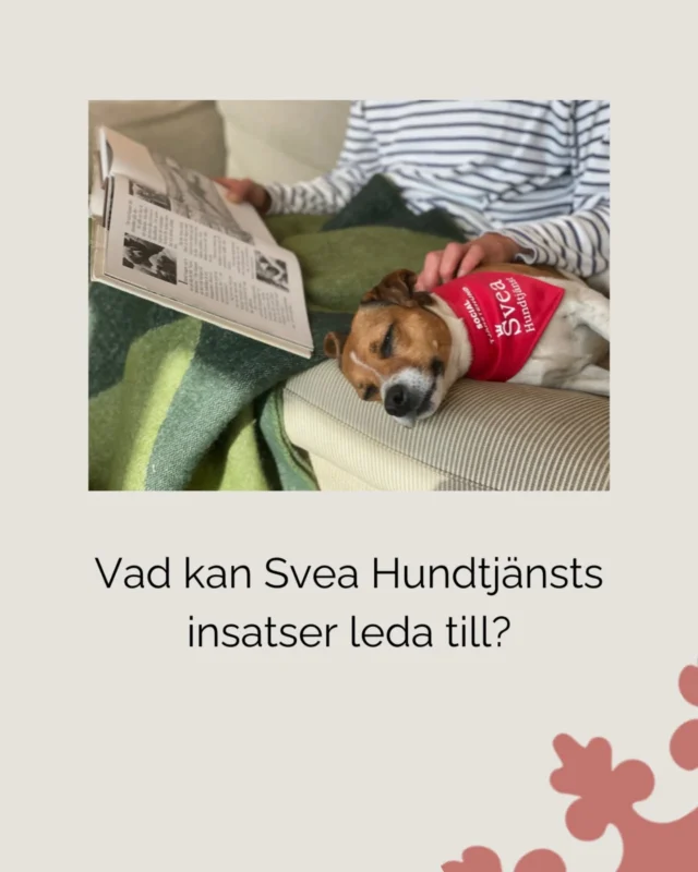 Hundunderstödda insatser kan bidra till:

• ökad närvaro och engagemang
• flrbättrad koncentration
• minskad stress och oro
• stärkt social interaktion

I vissa verksamheter ses även minskat behov av andra insatser, som exempelvis läkemedel eller upprepade vårdbesök.

Vill du ta reda på vilka insatser just er verksamhet kan behöva? Kontakta oss på info@sveahundtjanst.se

#sveahundtjänst #servicehund #tjänstehund #hundassistent