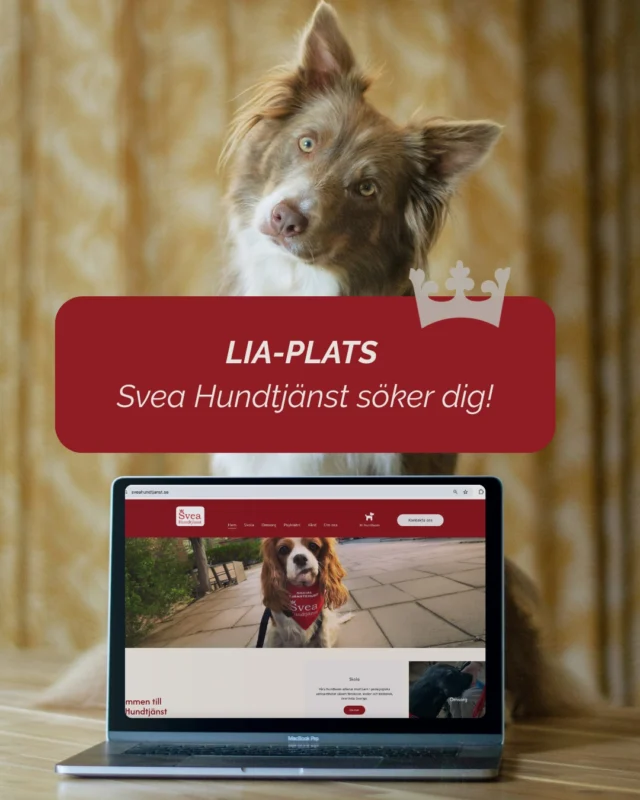 LIA-PLATS – Svea Hundtjänst söker dig!

Vi har precis fått ett rikstäckande ramavtal inom vård och omsorg och behöver dig som studerar försäljning eller account management.

Du får:
- Jobba med ett konkret, riktigt uppdrag från dag ett
- Bygga relationer med verksamheter
- Vara med och sälja in en tjänst som faktiskt gör skillnad
- Se hela kedjan – från första kontakt till levererad tjänst

Du är lyhörd, självgående och förstår att försäljning inom omsorg handlar om förtroende, inte tryck.
Intresserad? Skicka CV + några rader om dig själv till malin@sveahundtjanst.se

Dela gärna!

#LIA #yrkeshögskola #hundtjänst #socialatjänstehundar #försäljning #karriär