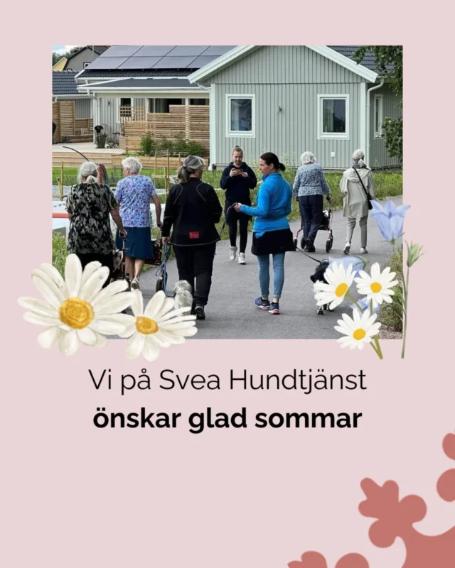 Glad sommar ☀️ Svea Hundtjänst vill önska alla våra två- och fyrbenta vänner en riktigt fin sommar fylld av sol, bad och härliga stunder tillsammans. 

För frågor eller kontakt under sommaren kan du alltid maila oss på info@sveahundtjanst.se

🌿🌸